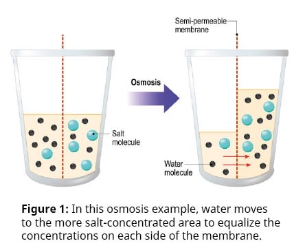 Yokogawa Osmosis Example